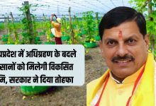 Land was developed in exchange for farmers in Madhya Pradesh