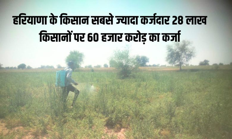 Haryana's farmers