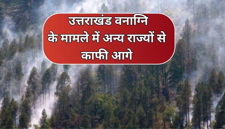 Uttrakhand News: उत्तराखंड वनाग्नि के मामले में अन्य राज्यों से काफी आगे, वन विभाग के एडवांस तैयारी से पहला महीना रहा राहत भरा