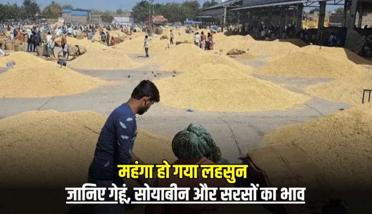 Garlic Price Hike: सुबह मंडी खुलते ही बड़ा झटका, इतना महंगा हो गया लहसुन, जानिए गेहूं, सोयाबीन और सरसों का भाव