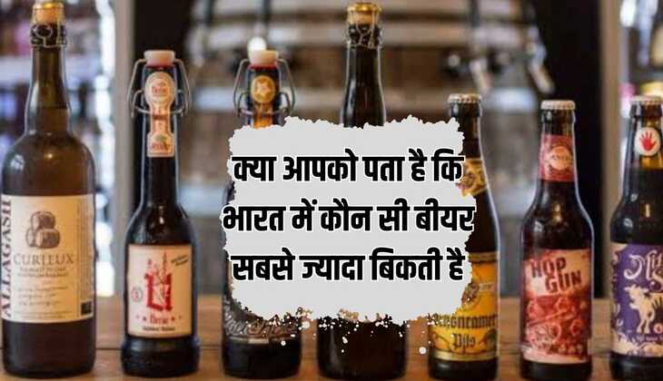 क्या आपको पता है कि भारत में कौन सी बीयर सबसे ज्यादा बिकती है इस कंपनी के मुनाफे में हुआ 60 प्रतिशत का इजाफा