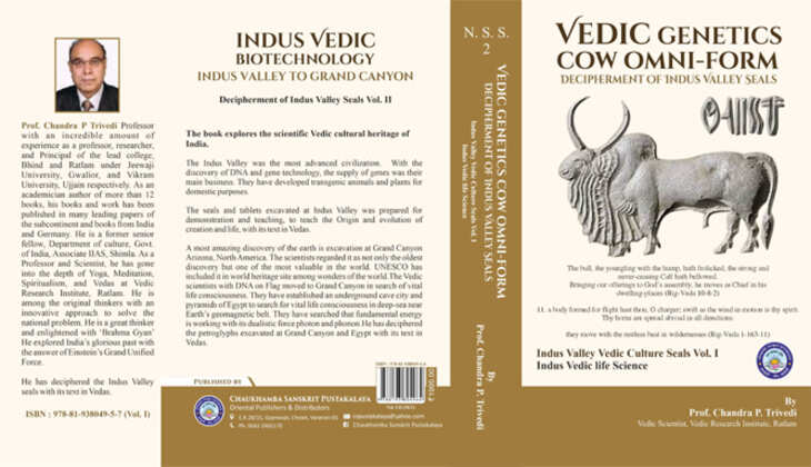 New Research : सौ  साल बाद एक भारतीय वैज्ञानिक ने सिंधु-घाटी के रहस्य से पर्दा हटाया, मन्दिर भारत की  आध्यात्मिक  पहचान
