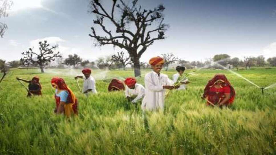 जिले के किसानों के लिए फार्मर रजिस्ट्री की शुरुआत, स्थानीय युवा को प्रति फार्मर आईडी बनाए जाने हेतु 10 रुपए तथा अतिरिक्त खाता जोड़ने हेतु 5 रुपए किए जाएंगे प्रदान