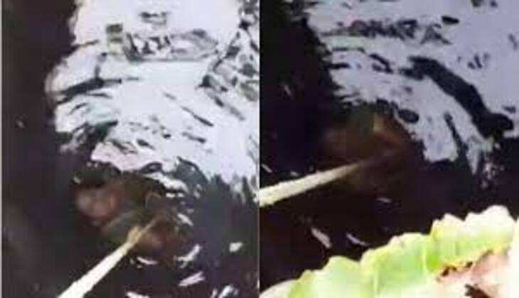 दहेज के लिए पत्नी से क्रूरता, कुएं में धकेला, रस्सी के सहारे छोड़ दिया, वीडियो बनाया, पुलिस ने किया गिरफ्तार