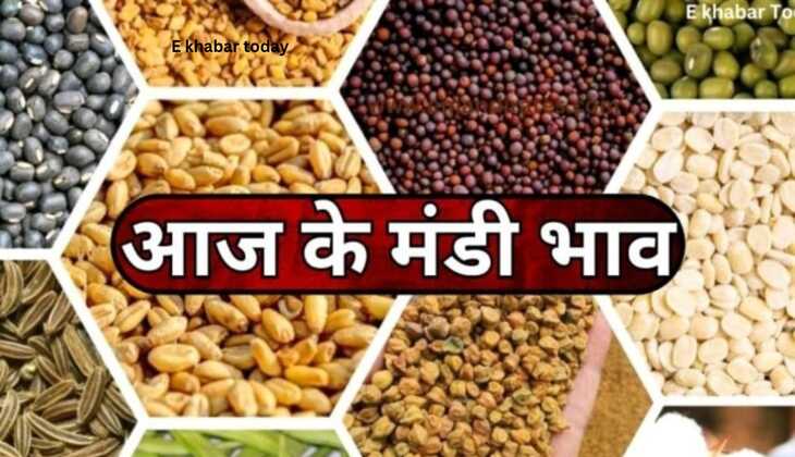 Today mandi bhav: गेहूं, सोयाबीन,चना,मक्का,मूंगफली सहित जानिए सब्जियों के भाव