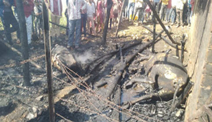 मकान के पास रखे चारे में लगी आग ,दो पशु जिन्दा जले