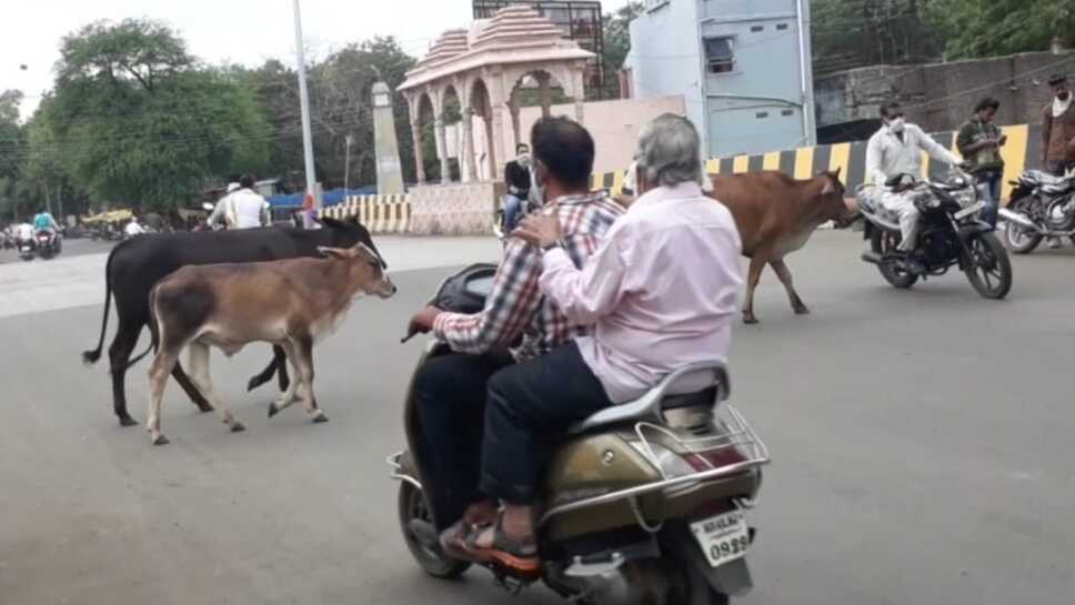बिना मरे स्वर्ग नहीं मिलता और मरने के लिए रतलाम नगर निगम से सम्पर्क करे:देखिये वीडियो