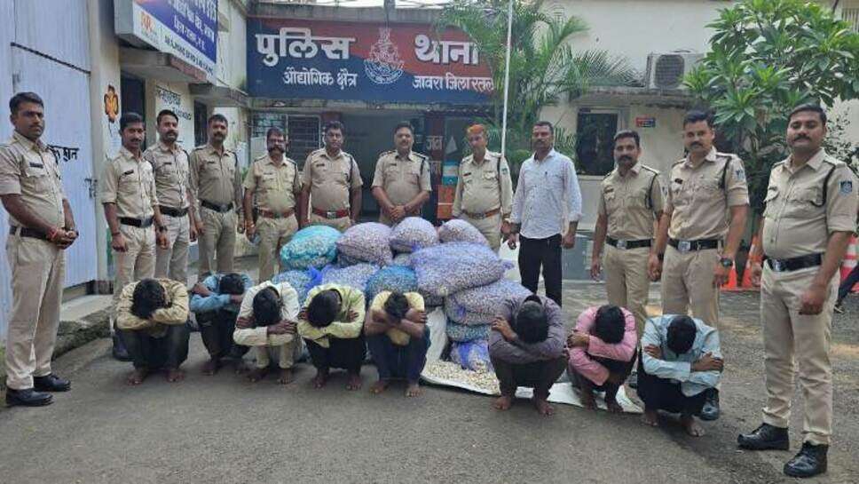 Thief Gang Arrested : जावरा के लहसुन गोदाम से लाखो रु की लहसुन चुराने वाली चोर गैंग को पुलिस ने किया गिरफ्तार ; गैंग ने मंदिर चोरी, ट्रक कटिंग, नकबजनी, सहित 06 वारदातें कबूली