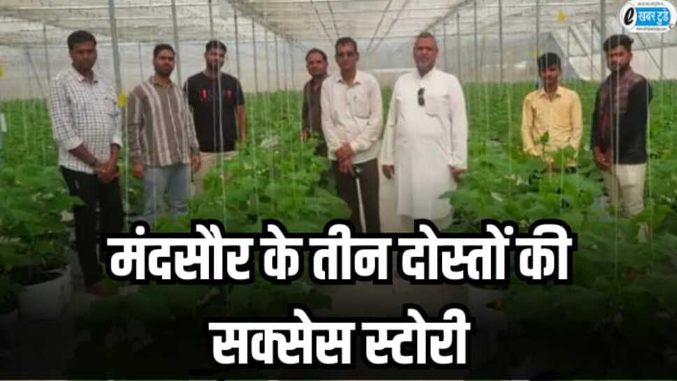 Success Story: मंदसौर के तीन दोस्तों की सक्सेस स्टोरी, पॉलीहाउस के आइडिया ने बदल दी किस्मत
