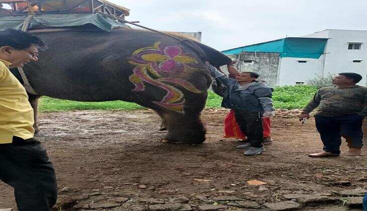 पूर्ण स्वास्थ्य परीक्षण और फिटनेस प्रमाण पत्र के बाद बाबा की सवारी में शामिल होता है श्यामू हाथी