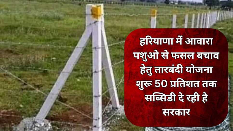 हरियाणा में आवारा पशुओ से फसल बचाव हेतु तारबंदी योजना शुरू 50 प्रति‍शत तक सब्सिडी दे रही है सरकार