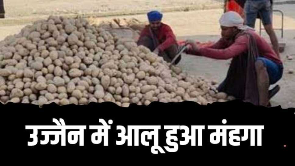 उज्जैन में आलू हुआ महंगा, देखिए क्या हो गई कीमत