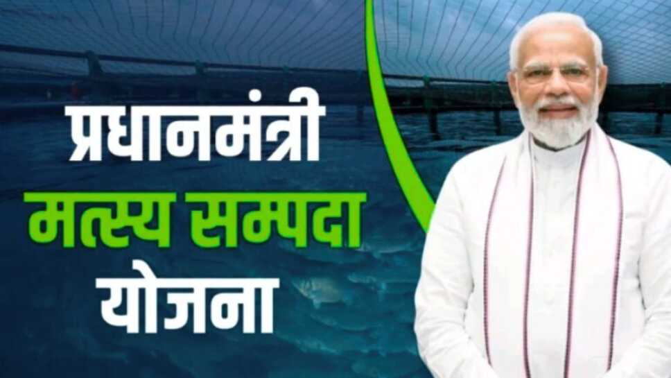सरकार की ओर से प्रधानमंत्री मत्स्य संपदा योजना के तहत झींगा पालन के लिए दिया जा रहा है 40 से 60% अनुदान, आज ही अपना नया बिजनेस शुरू करें