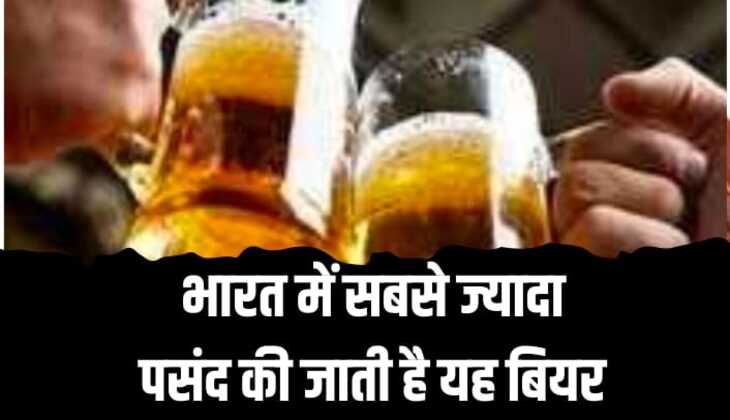 Top Bear Brand: भारत में सबसे ज्यादा इस बीयर को करते हैं लोग पसंद, कंपनी पर हो रही है जमकर धनवर्षा