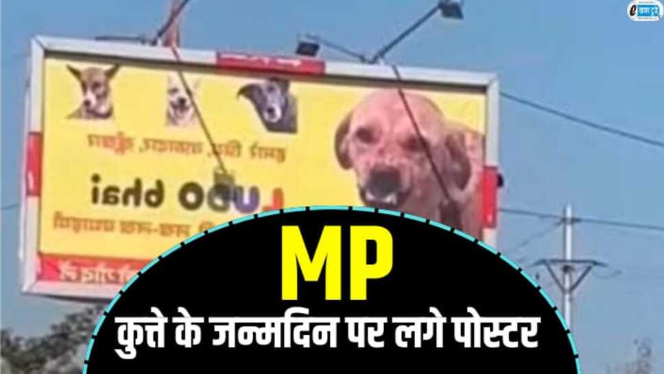 MP में कुत्ते के जन्मदिन पर शहर में लगवा दिए पोस्टर, देशी कुत्ता पालने का दिया संदेश