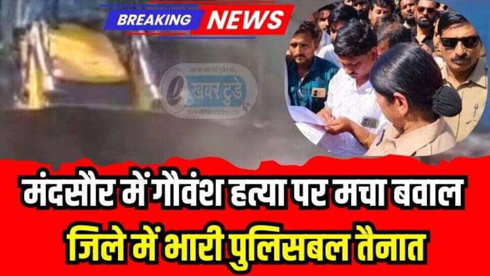Mandsaur news: मंदसौर में गौवंश हत्या पर मचा बवाल, हिंदू संगठनों के प्रदर्शन के चलते जिले में भारी पुलिसबल तैनात