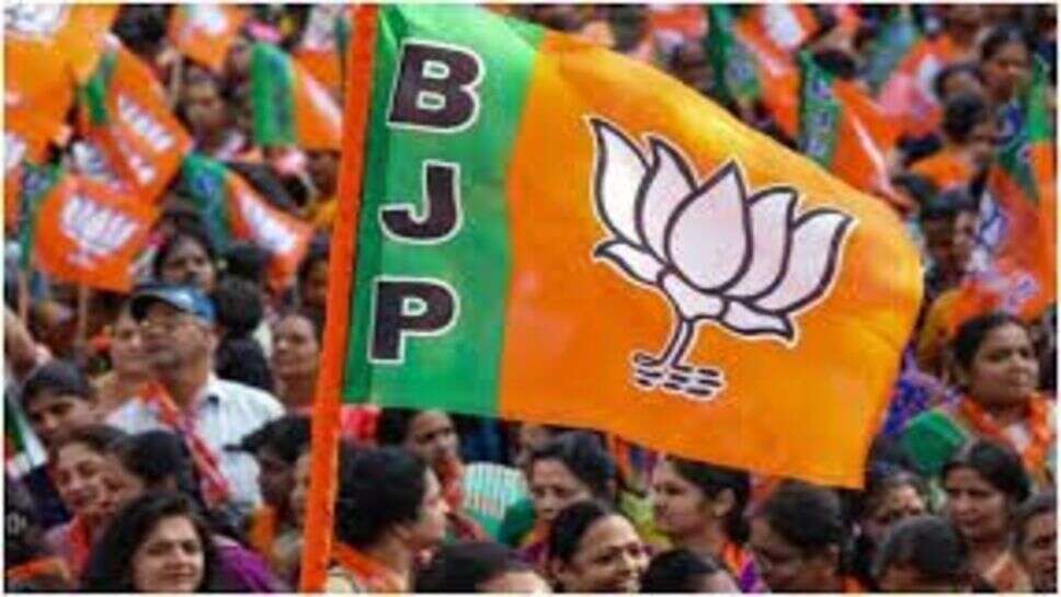 रतलाम / जिले में भाजपा मंडलो के अध्यक्षों की हुई घोषणा, शहर सहित जिले के पांच मंडलो की घोषणा बाकि