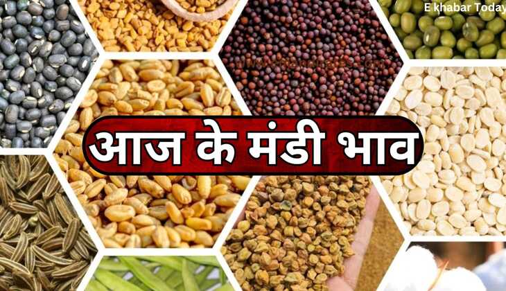 Today mandi bhav: चना, गेहूं, नरमा, सरसों, मूंग सहित जाने आज के फसल मंडी भाव
