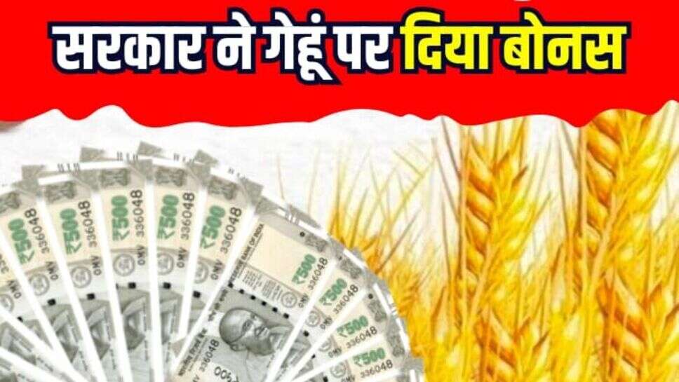 Bonus on wheat: गेहूं पर 175 रूपये का सरकार ने दिया बोनस, किसानों ने किया डांडिया नृत्य