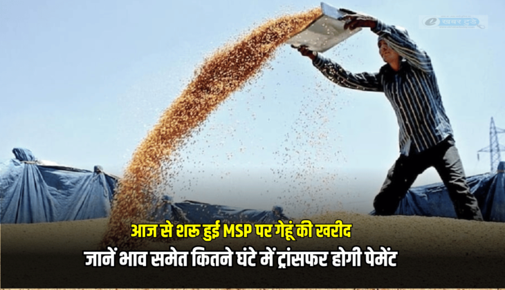 Wheat MSP Price : राजस्थान में आज से शरू हुई MSP पर गेहूं की खरीद, जानें भाव समेत कितने घंटे में ट्रांसफर होगी पेमेंट