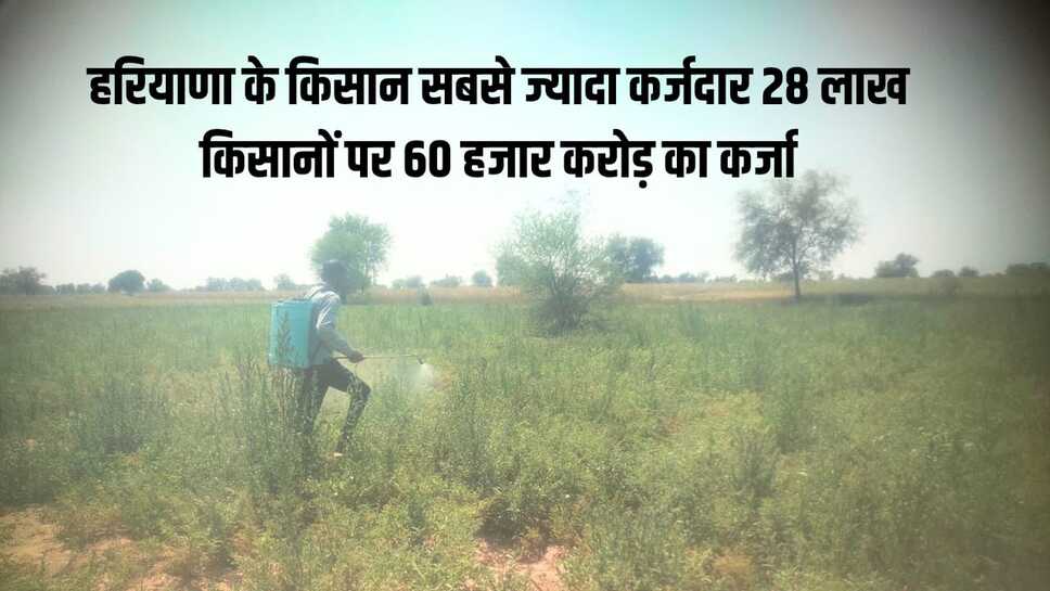हरियाणा के किसान सबसे ज्यादा कर्जदार : 28 लाख किसानों पर 60 हजार करोड़ का कर्जा