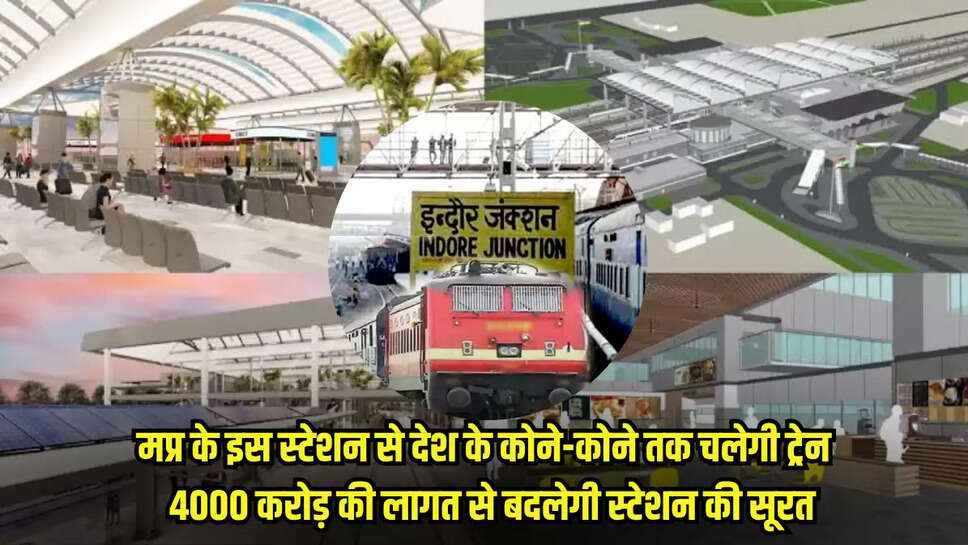 MP news