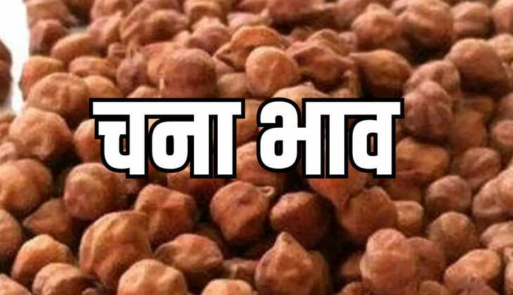 चने के ताजा भाव