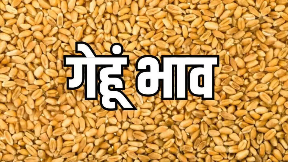 wheat prices