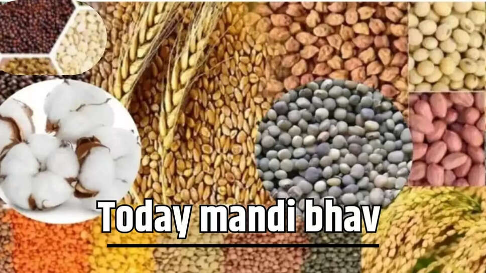  barley, mustard, gram, potato, onion, garlic are 