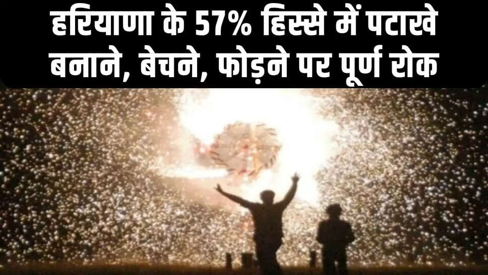 पटाखे बनाने, बेचने और फोड़ने पर पूर्ण प्रतिबंध