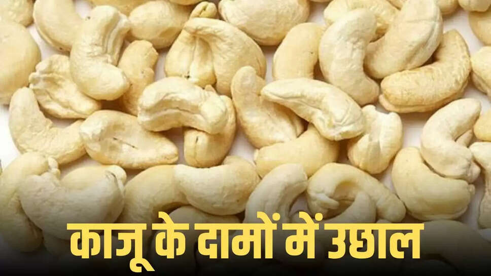 काजू के दाम