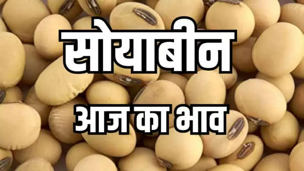Today soybean rate update