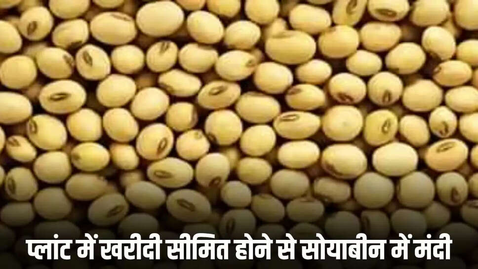 soybean prices