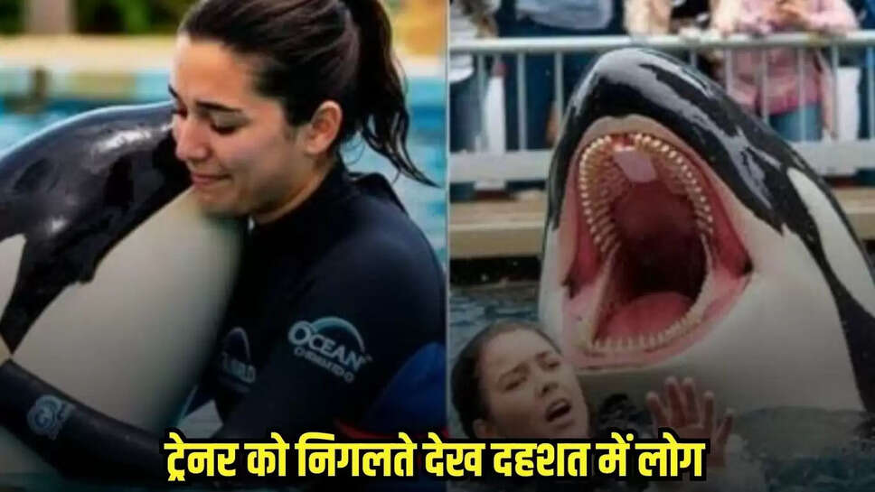 Viral Video