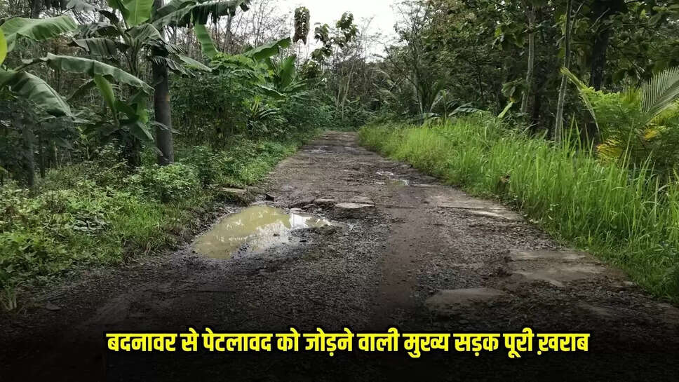 Dhaar News