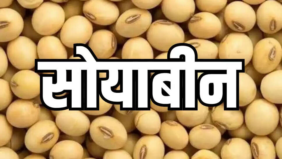 Soyabean