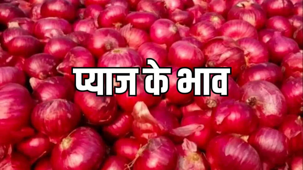 बेस्ट क्वालिटी प्याज