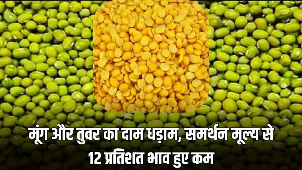 prices of moong and tuvar