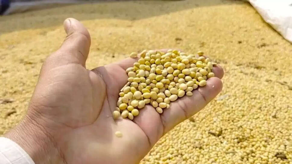 Soybean oil prices