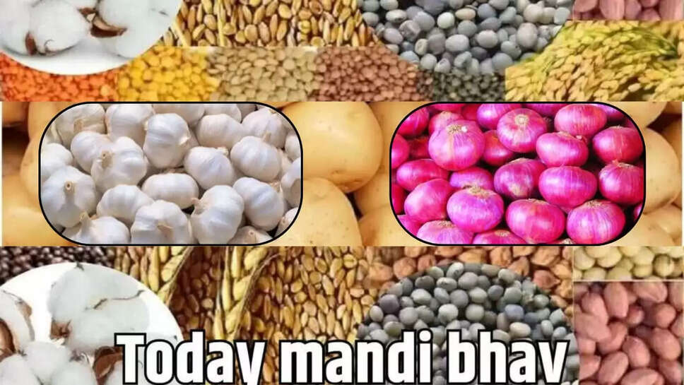 Today market price
