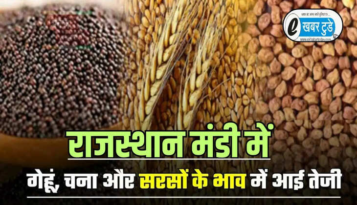 राजस्थान कृषि मंडी भाव 