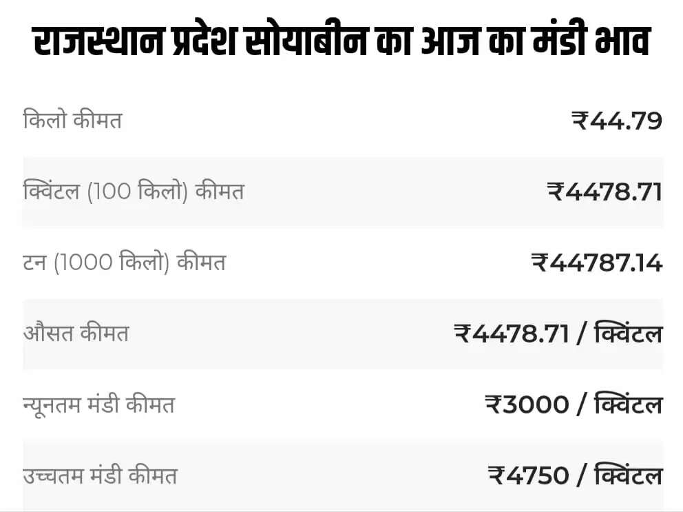 राजस्थान प्रदेश में इस प्रकार रहे सोयाबीन के भाव
