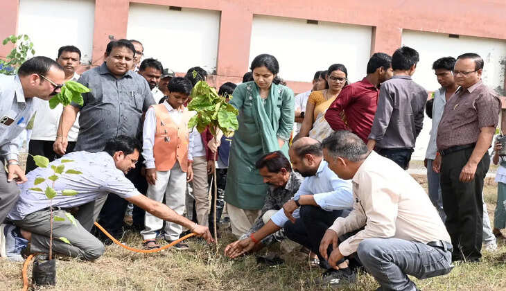 Collector Misha Singh issued instructions to develop the 