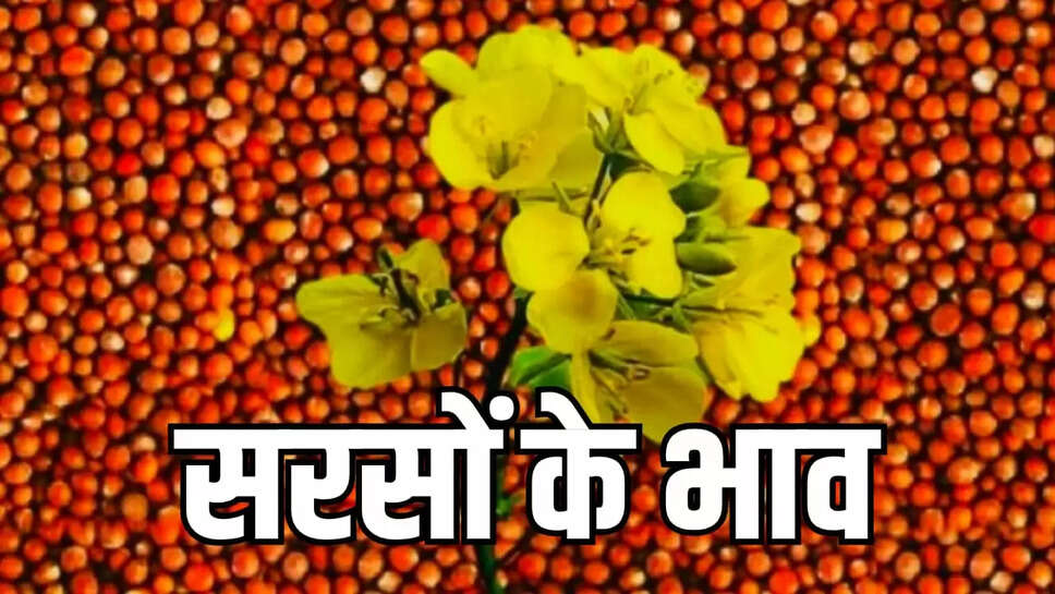 mustard prices