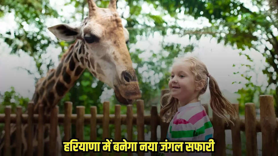 Haryana Jungle Safari