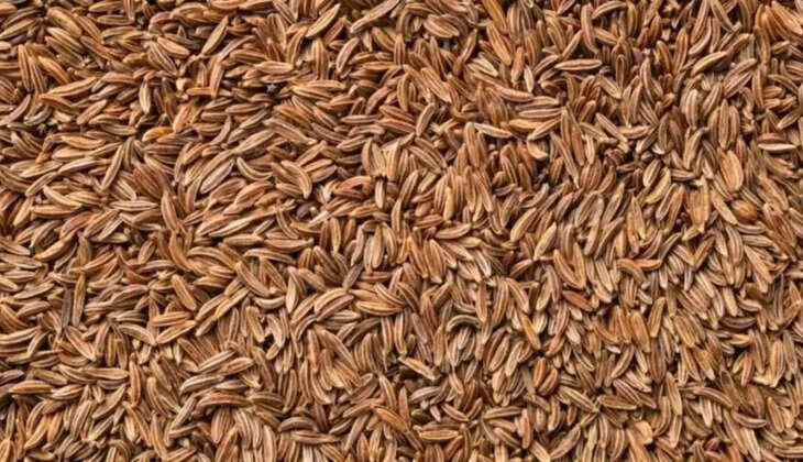  जीरे के भाव