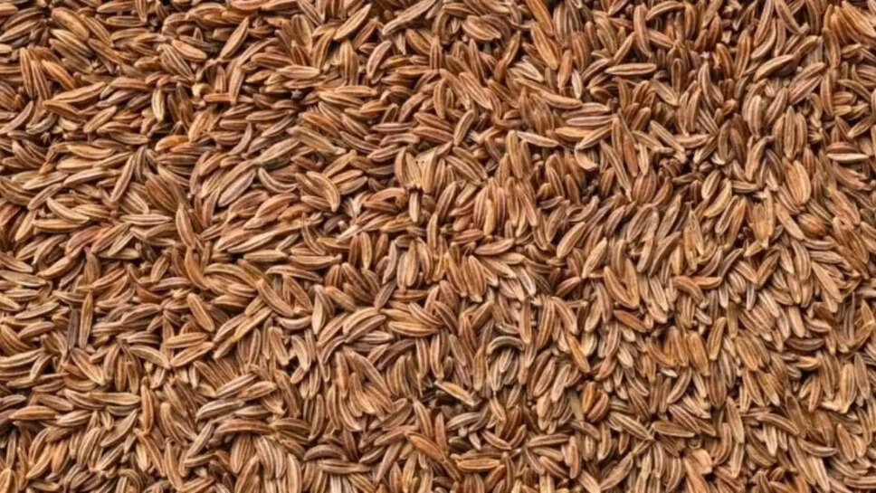  जीरे के भाव