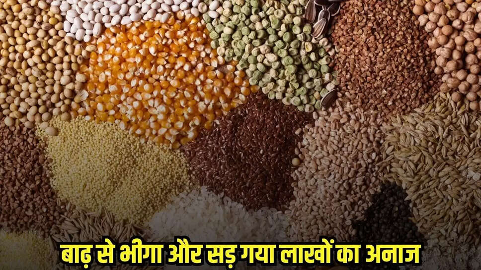 Bina News