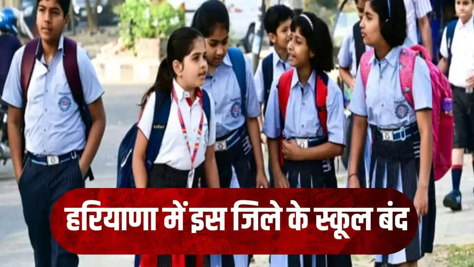 HARYANA NEWS