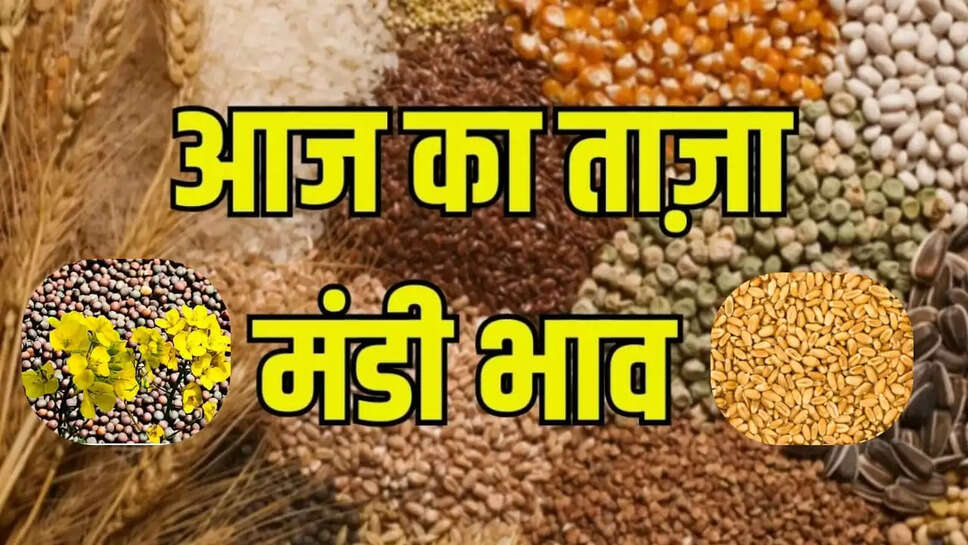 Today mandi bhav 